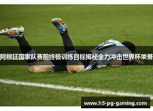 阿根廷国家队赛前终极训练目标揭秘全力冲击世界杯荣誉