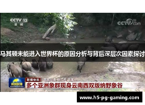 马其顿未能进入世界杯的原因分析与背后深层次因素探讨