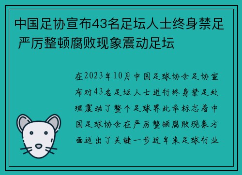 中国足协宣布43名足坛人士终身禁足 严厉整顿腐败现象震动足坛