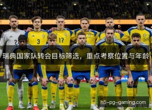 瑞典国家队转会目标筛选，重点考察位置与年龄